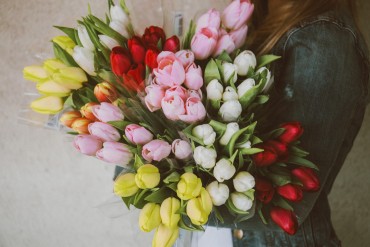 15 Beautiful Types of Tulips